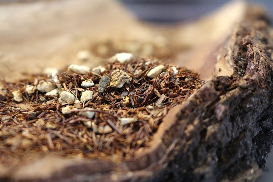 Tee teeblatt | Chai Massai (Rooibos Naturbelassen)